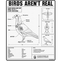 Birds Aren’t Real raven drone graphic t-shirt with conspiracy blueprint schematic design