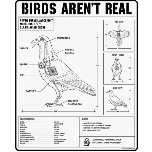 Birds Aren’t Real raven drone graphic t-shirt with conspiracy blueprint schematic design