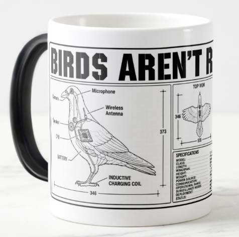 Vertical “Birds Aren’t Real” schematic showing a raven with labeled surveillance components, smaller top, front, and side views, specifications, and notes.